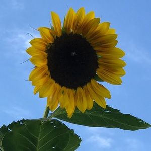 Meet your Posher, Terry